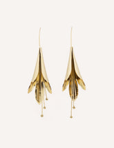 Pendientes cala